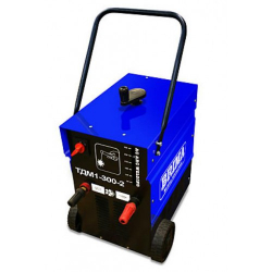 Купить Brima ТДМ1-300-2 (220) в Васькино